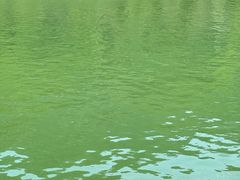 -江边渔家(龙舟文化园店)