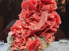 -湖南省地质博物馆