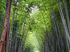 -同里国家湿地公园