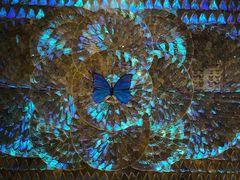 -上海昆虫博物馆