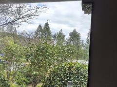 -山水一号·中餐厅