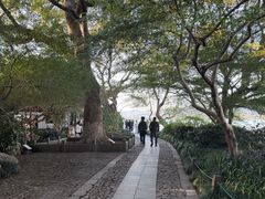 -西湖游船
