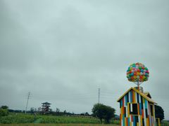 -杭州湾海上花田景区