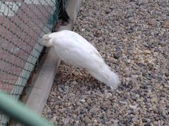 -南京金牛湖风景区