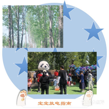 这里太多小宠物啦 爱了