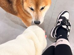 -NOTBAD 须时·咖啡馆