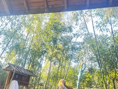 -观唐（国际）度假村温泉