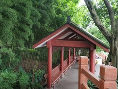 -大渡口区义渡公园
