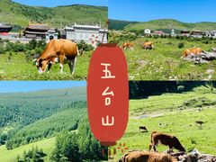 -五台山风景区