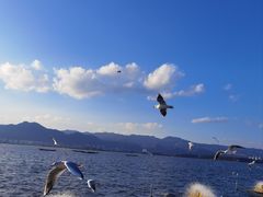 -海埂大坝