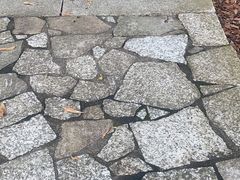 -旗岭森林公园