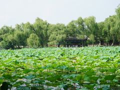 -承德避暑山庄景区