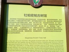 -呀路古热带植物园