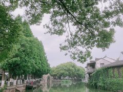 -金泽古镇