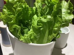 -古乐牛香·鲜牛肉牛杂火锅(新区店)