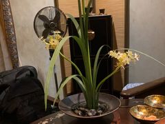 -31号公馆(黄兴广场白果园店)