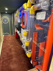 -MELAND CLUB亲子乐园·派对·餐厅(北京芳圆里ID MALL店)