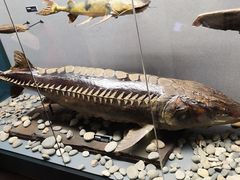 -昆明动物博物馆