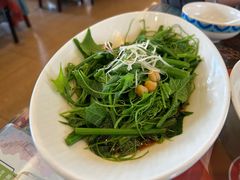 地瓜苗-巴依老爷新疆美食(魏公村店)