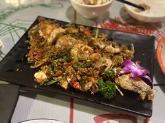 巨型泰国濑尿虾-辉记炭烧海鲜大排档·老字号(福田店)