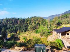 -紫鹊界梯田景区