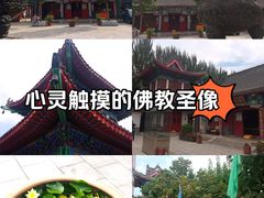 -西塔