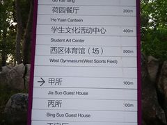 账单-清华大学-甲所餐厅