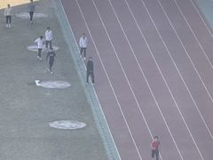 -广州天河希尔顿酒店