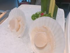 扇贝-海底捞火锅(北京路店)