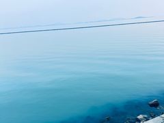 -贡湖湾湿地公园