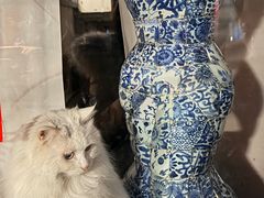 -创艺无限·赵春香微妙艺术馆