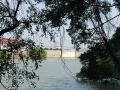 -大湾区中央湿地公园