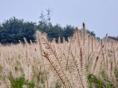 -汉长安城未央宫国家考古遗址公园