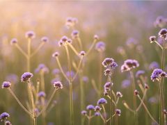 -杭州城北体育公园