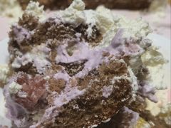 -好利来(欢乐谷店)