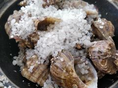 -锐记美食店·现捞海鲜(闸坡店)