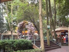 -二荆条·蜀鲜汇城市森林火锅