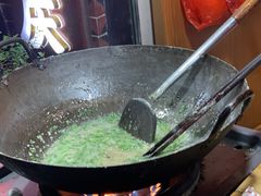-海丝金凤(金鱼店)