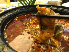 石锅鱼-金龙渔港(双楠店)