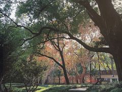 -徐家汇源景区-衡山公园