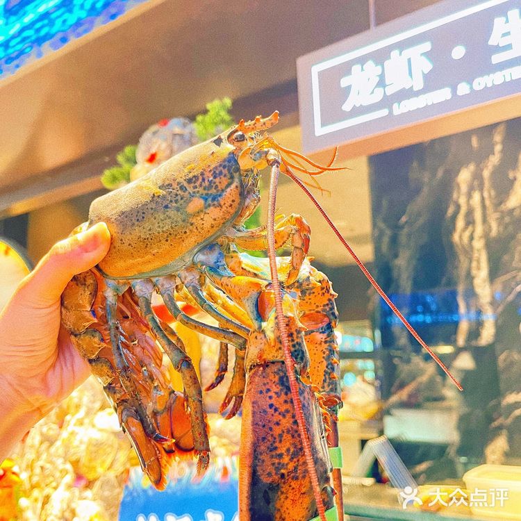 北京最豪横海鲜自助|分分钟把老板吃亏本！