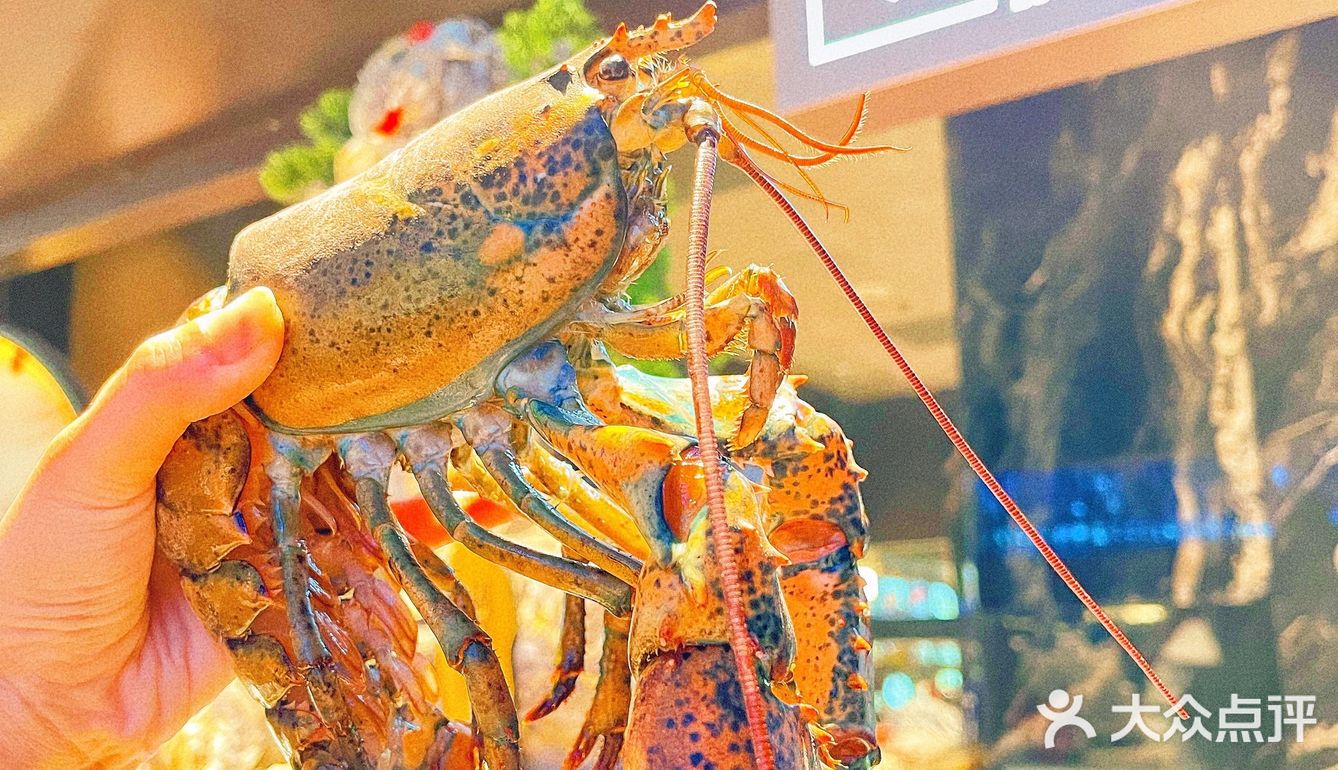 北京最豪横海鲜自助|分分钟把老板吃亏本！