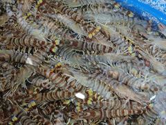 -海味当家·蒸锅海鲜(星海公园店)