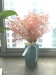 -宜肤清颜专业祛痘问题肌修护