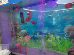 -雅悦齿科(顾村公园店)