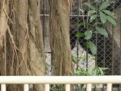 -深圳野生动物园