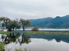 -小普陀