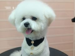 -FAELING PETS美天灵宠物(合生汇店)