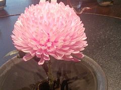 -大拙里·精致融合菜(沙湖桃源国际店)