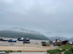 -北岐滩涂